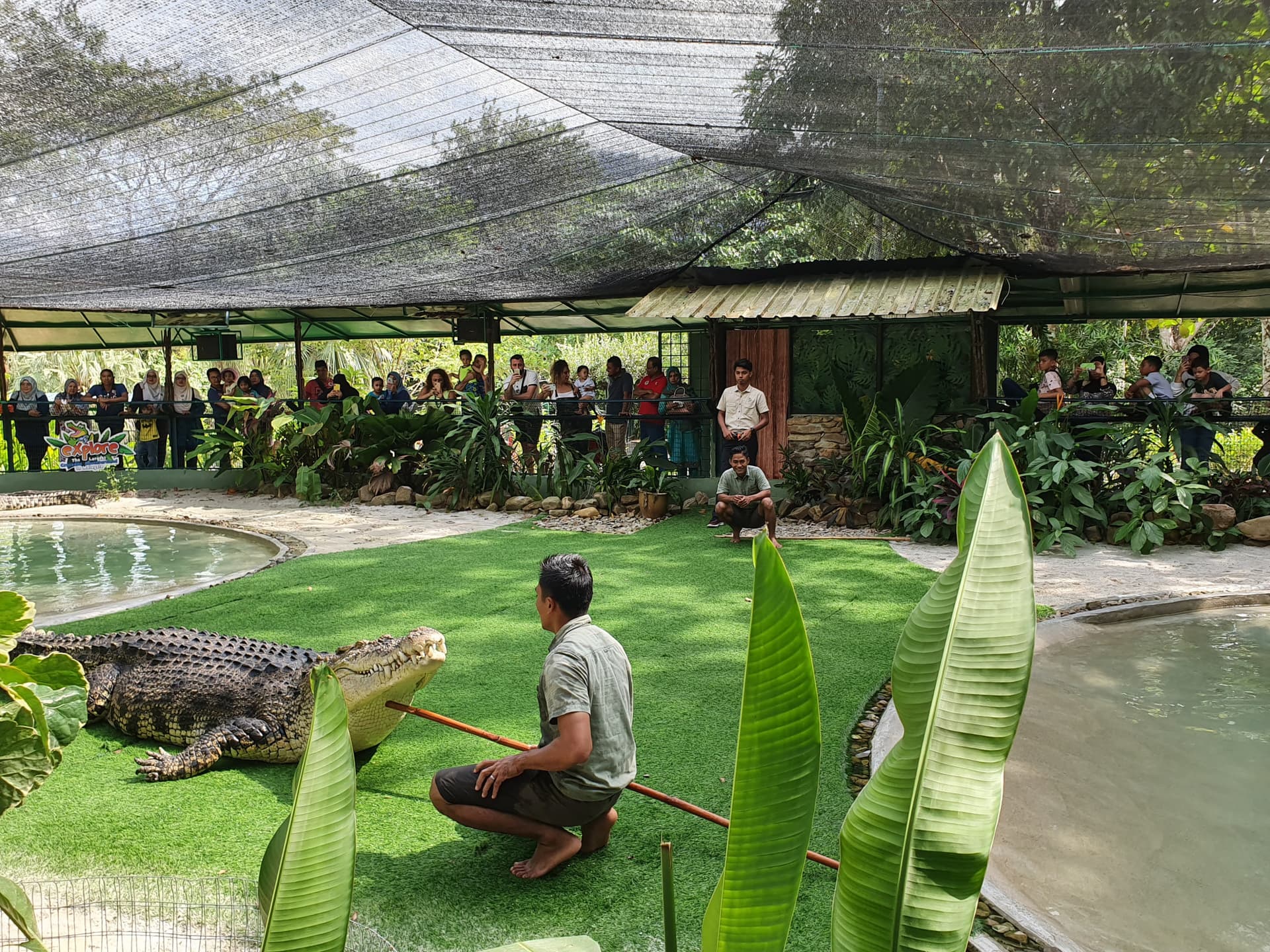 Crocodile Adventureland Langkawi, фото 7
